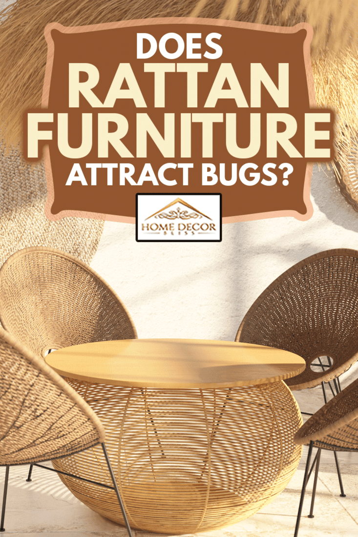 Rattan家具吸引ugs 金宝搏官网