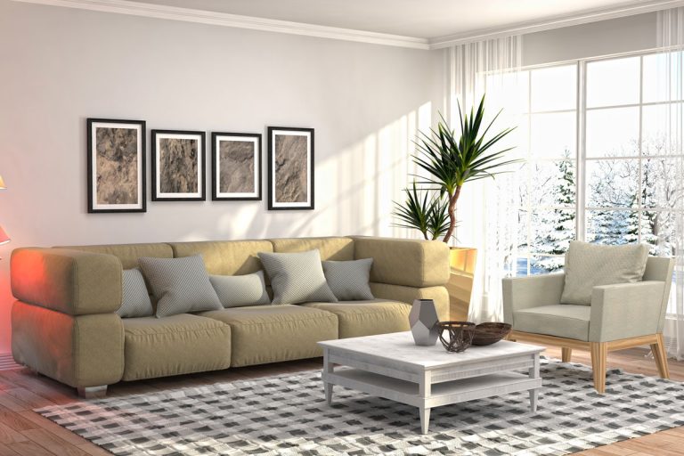 A dark colored sofa with gray throw pillows with plants and a white coffee table, 11 10X12 Living Room Layouts To Explore