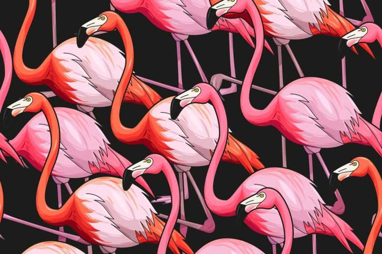 27 Crazy and Unusual Wallpaper Ideas for Your Walls