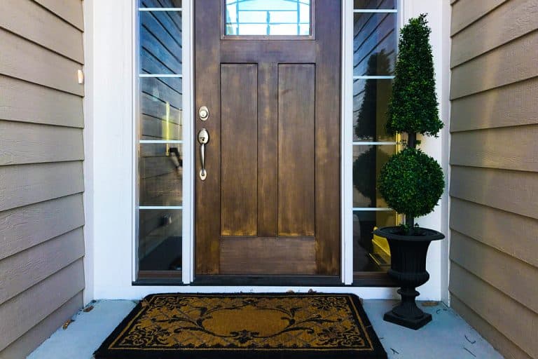 A porch of a modern contemporary house with plant placed next to a rug, Should You Have An Outdoor Rug On A Porch?