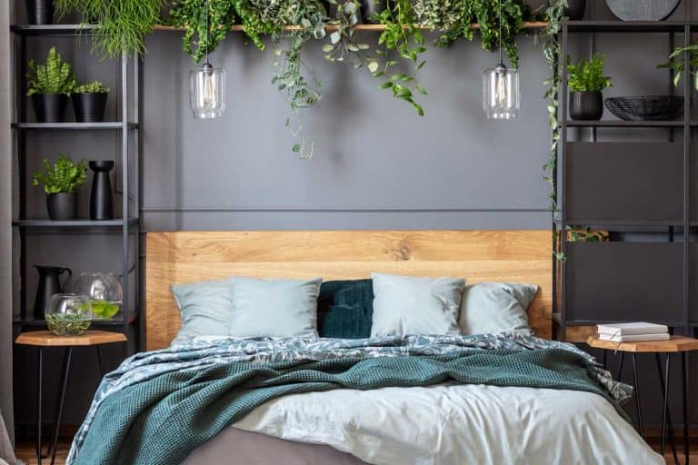 A green blanket and gray pillows on wooden bed in floral bedroom interior with plants, 13 Amazing Wall Decor Ideas For Bedroom