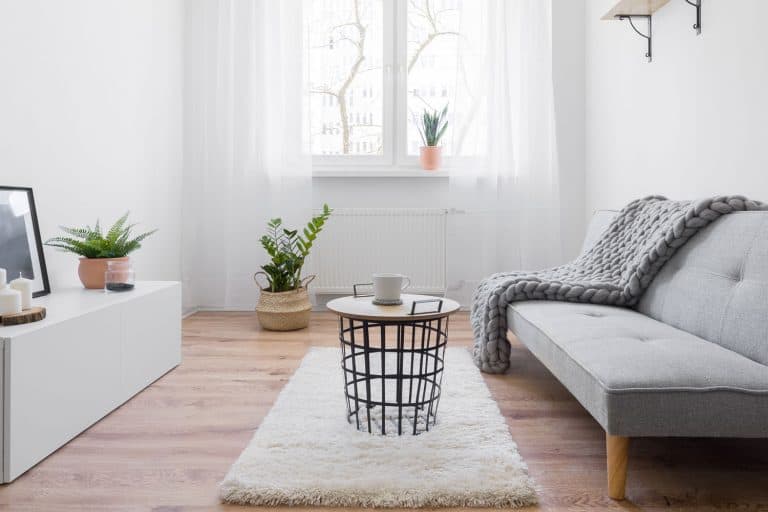 Contemporary living room with gray couch and Scandinavian coffee table, 13 Narrow Living Room Layouts - With Design Tips!