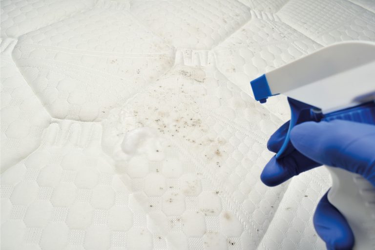 用泡沫清洁剂清除霉菌。用液体去污剂清洁床垫布。织物上有真菌、霉变或发霉。你能用漂白剂清洁床垫吗