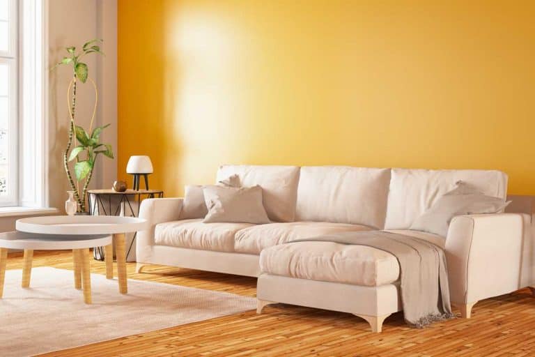 Modern interior design sectional sofa with yellow wall, What Color Furniture Goes With Yellow Walls?
