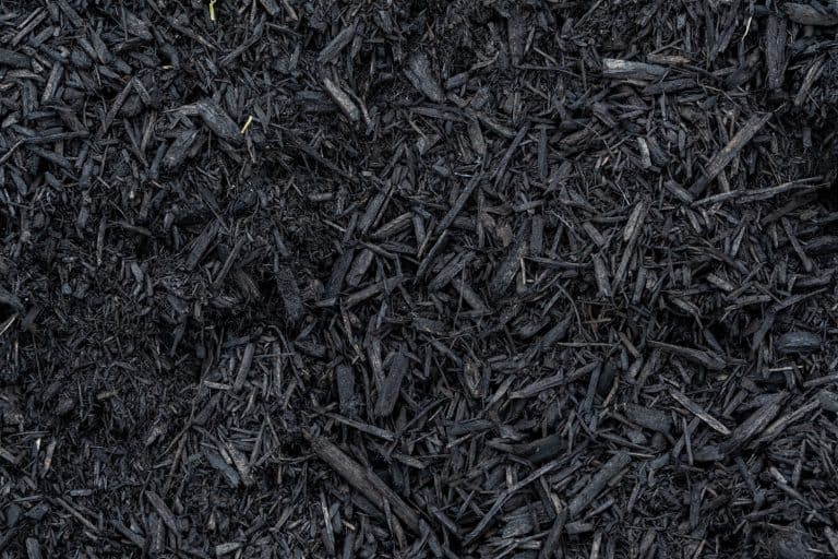用烧焦的树皮做成的灰色护根物，白宫用什么颜色的护根物?