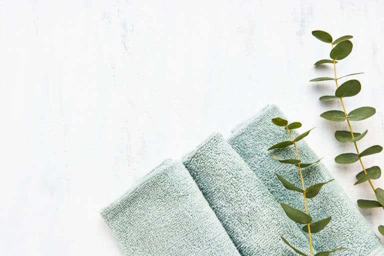 Rolled fluffy bathroom towel and green eucalyptus branch on white background, What Is The Best Color For Bathroom Towels?