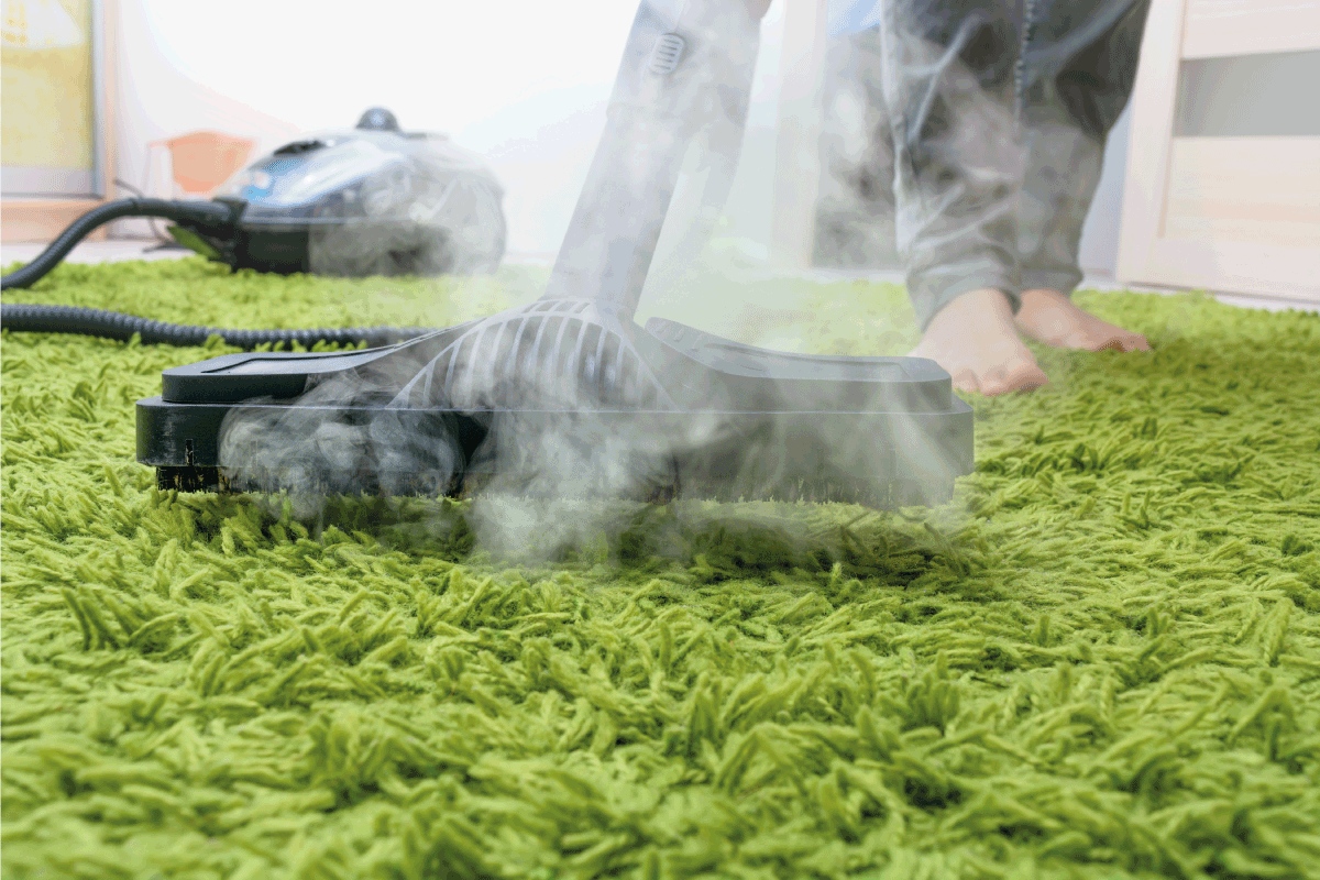 女性清洁 -  carpet-a-carpet-a-steam-cleaning.-getting-cotting-to-to-toust-mites.-what-ty-ty-typer-carpet-of car-are to to to to-eas-eas-to-to-to-to-to-to-to-to-to-to-to-to-to-to-to-to-to-to-to-to-to-to-to-clean均可清洁