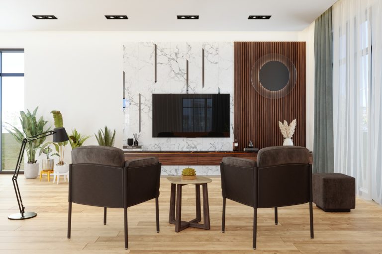 Living Room Interior With Tv Set, Armchairs And Potted Plants