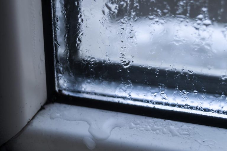 新塑料窗户结冰、凝结和发霉，下雨时窗户顶部漏水-怎么办?