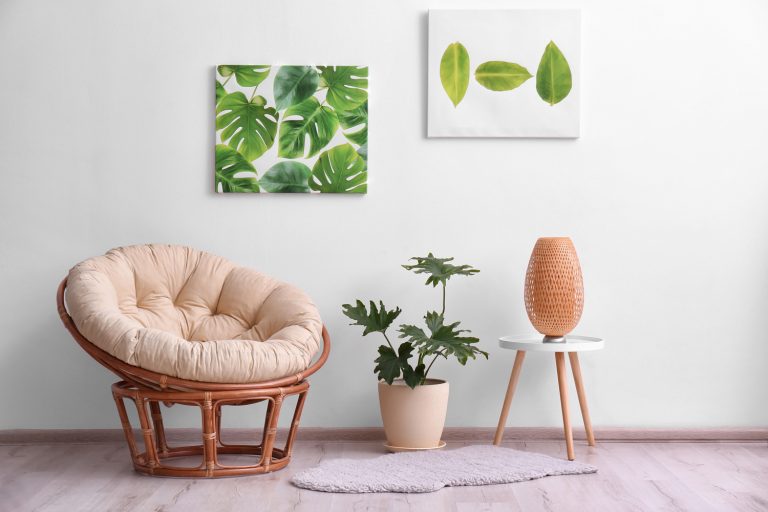 现代风格的房间interior with tropical leaves and papasan chair - How Much Weight Can A Papasan Chair Hold