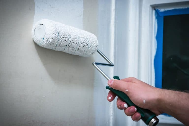 Hand rolling white house paint primer on prepped wall, using hand roller, Does Elastomeric Paint Need A Primer