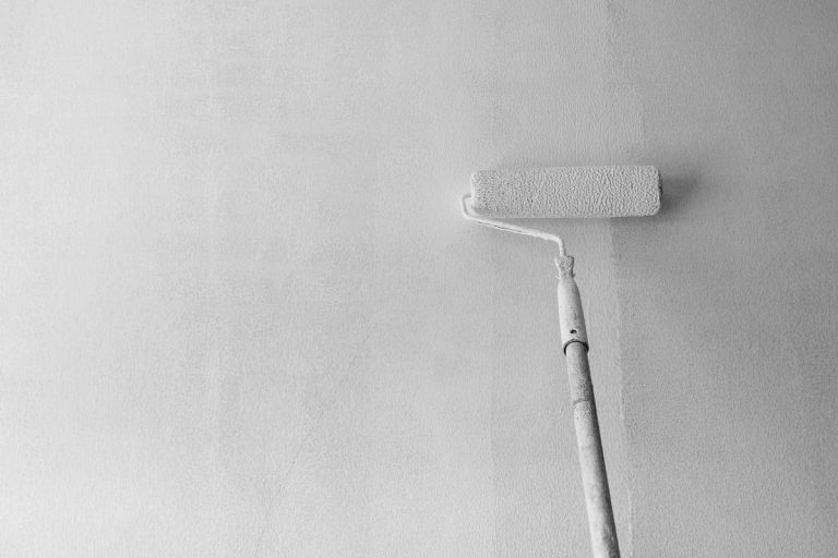 Using a roller paint to apply white paint on the wall, Should Paint Primer Be Tinted?