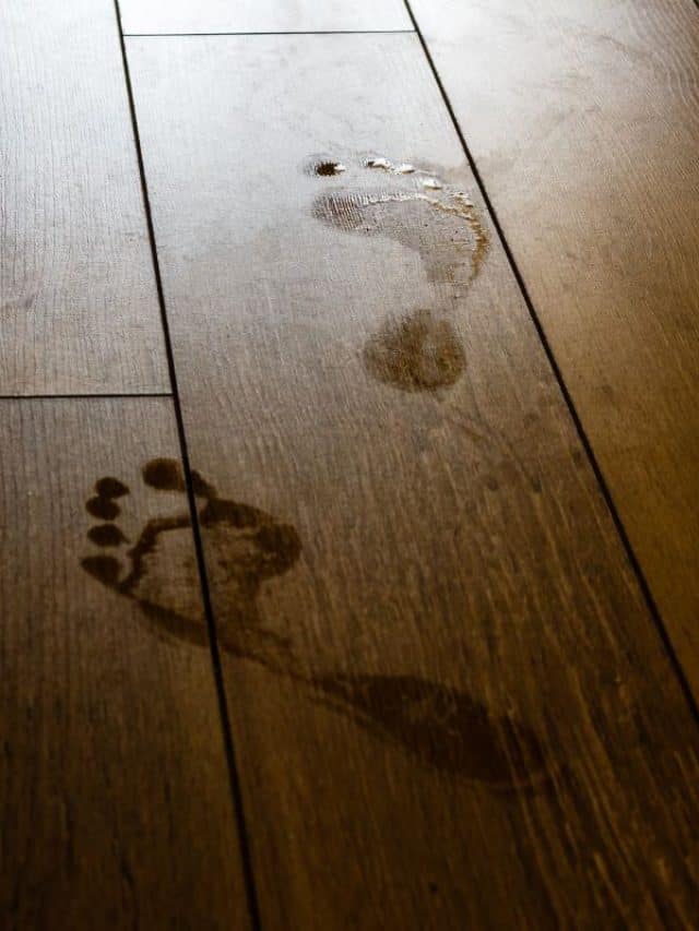 深棕色木地板上湿漉漉的人脚印和闪电的眩光。暑假和假期概念。如何让脚印远离瓷砖地板