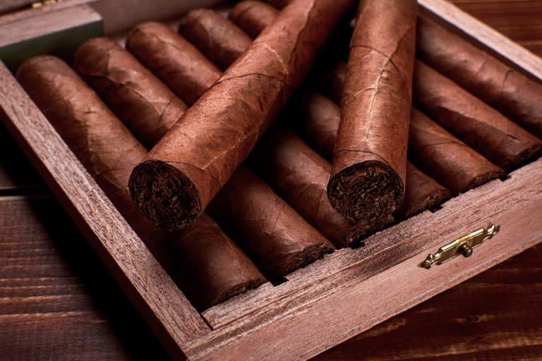 卷卷高档昂贵的雪茄装在一个盒子里，Humidor Vs. Tupperdor:选择哪一个?