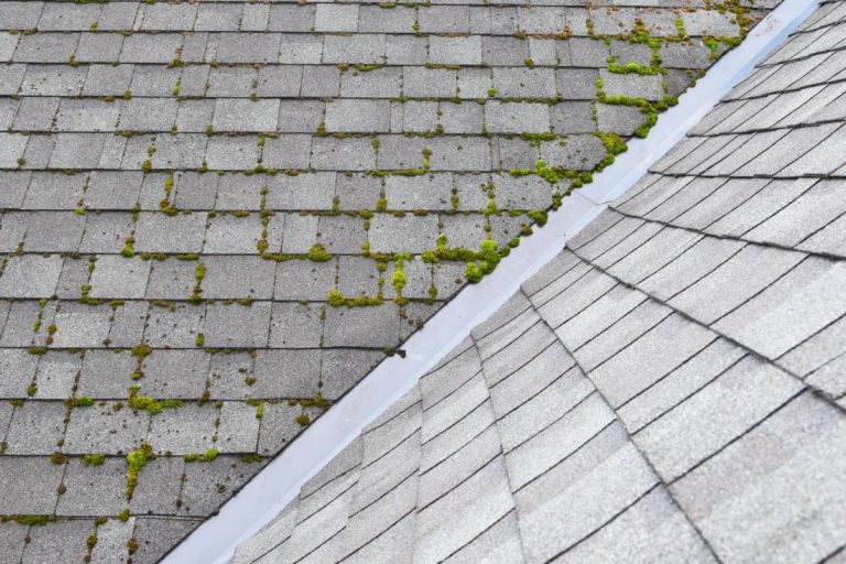 Different two parts of grey bitumen asphalt shingles roof one part overgrown with green moss other clean